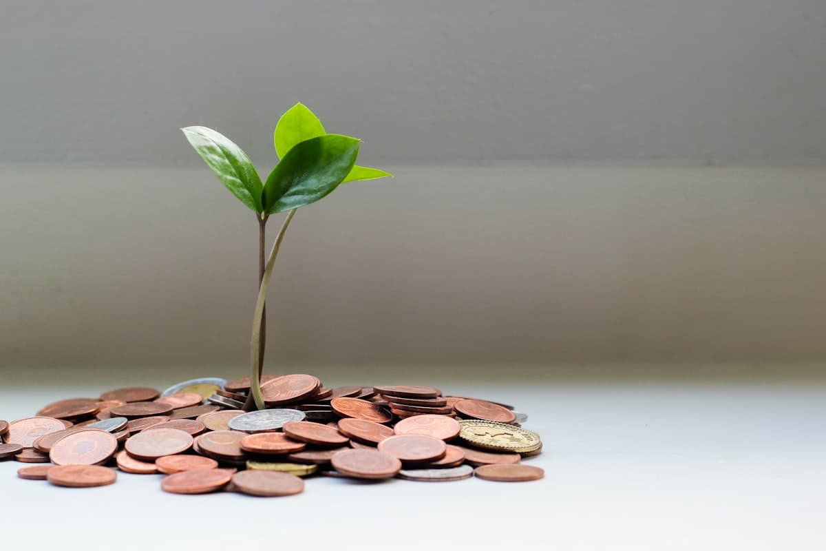 Dolar Kuru ve Türkiye Gayrimenkul Fiyatları Arasındaki İlişki